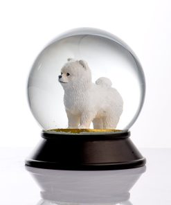 Pomeranian Boo