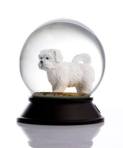 Maltese Terrier