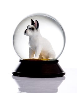 French Bulldog White