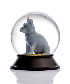 French Bulldog Gray